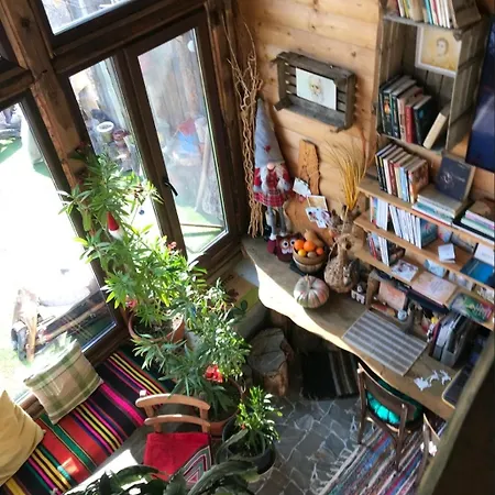 Books Дом отдыха Beden