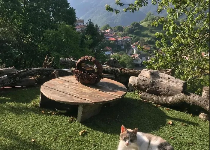 Books Ваканционна къща *